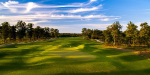 golf architecture project