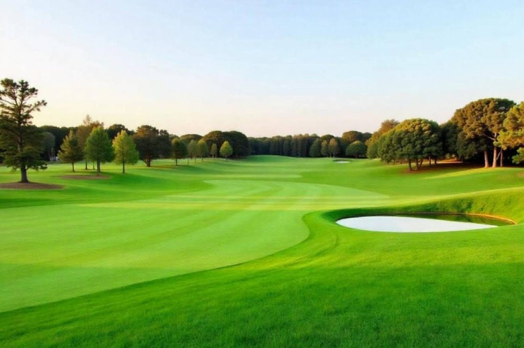 Aerial view of a new golf course designed by top golf architects