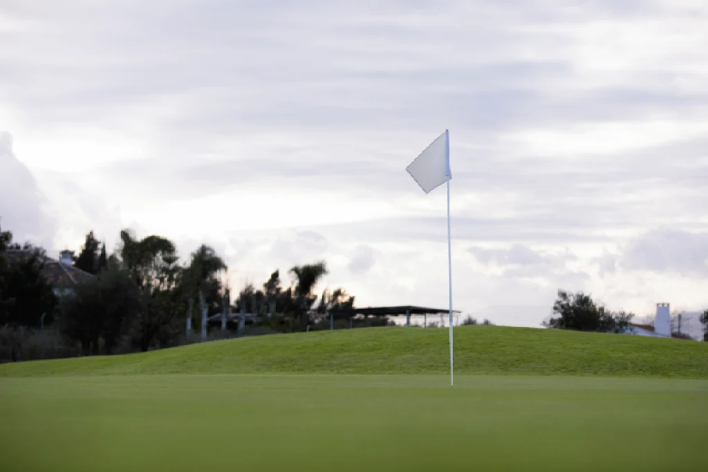 A photograph of a newly renovated golf course green with pristine turf and a new bunker.