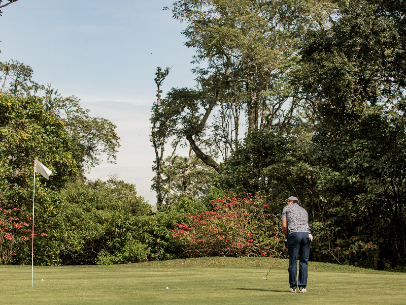 Image showing the restoration of historic green complexes at a 1944 championship course.