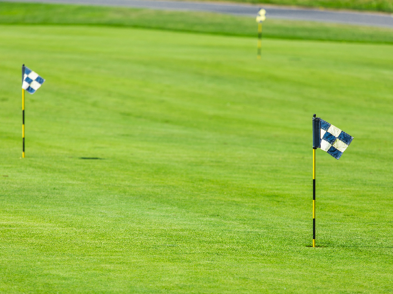 Close-up of an undulating green complex on a championship course showing captivating slopes