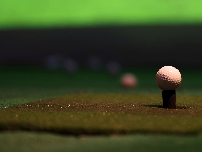 Image of a championship course featuring uniquely shaped bunkers with dramatic shadows